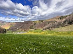 Erlebnispadagogische Tage Losenstein 1a   2024 04 03 05   64